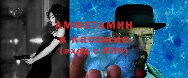 шишки Абаза