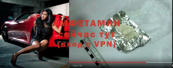 шишки Абаза
